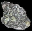 Twinned Calcite Crystals With Chalcopyrite - Missouri #35931-2